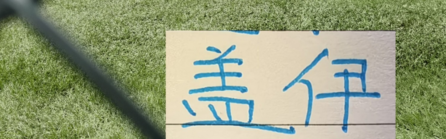 Leyu 体育网站-如果没超频版“马莱莱” 申花怎么战北京国安+天津+海港