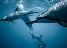 Leyu 体育网站-贝尔：当年曼联报价更高仍选皇马，热刺不愿将我卖给英超对手