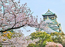 乐意电竞APP下载-四川足球十大历史瞬间：从“雄起”声响彻全国，到川超新时代｜封芒视频